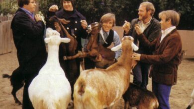 Photo of The Album Series 01 – “Pet Sounds” by The Beach Boys!