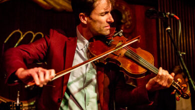 Photo of Are You Serious? More Andrew Bird!