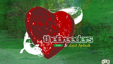 Photo of The Album Series 23 & 24 – “Pod” and “Last Splash” by the Breeders!