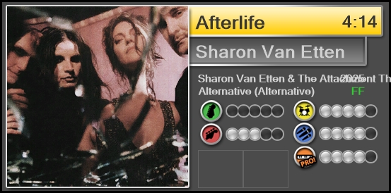 Afterlife - Sharon Van Etten